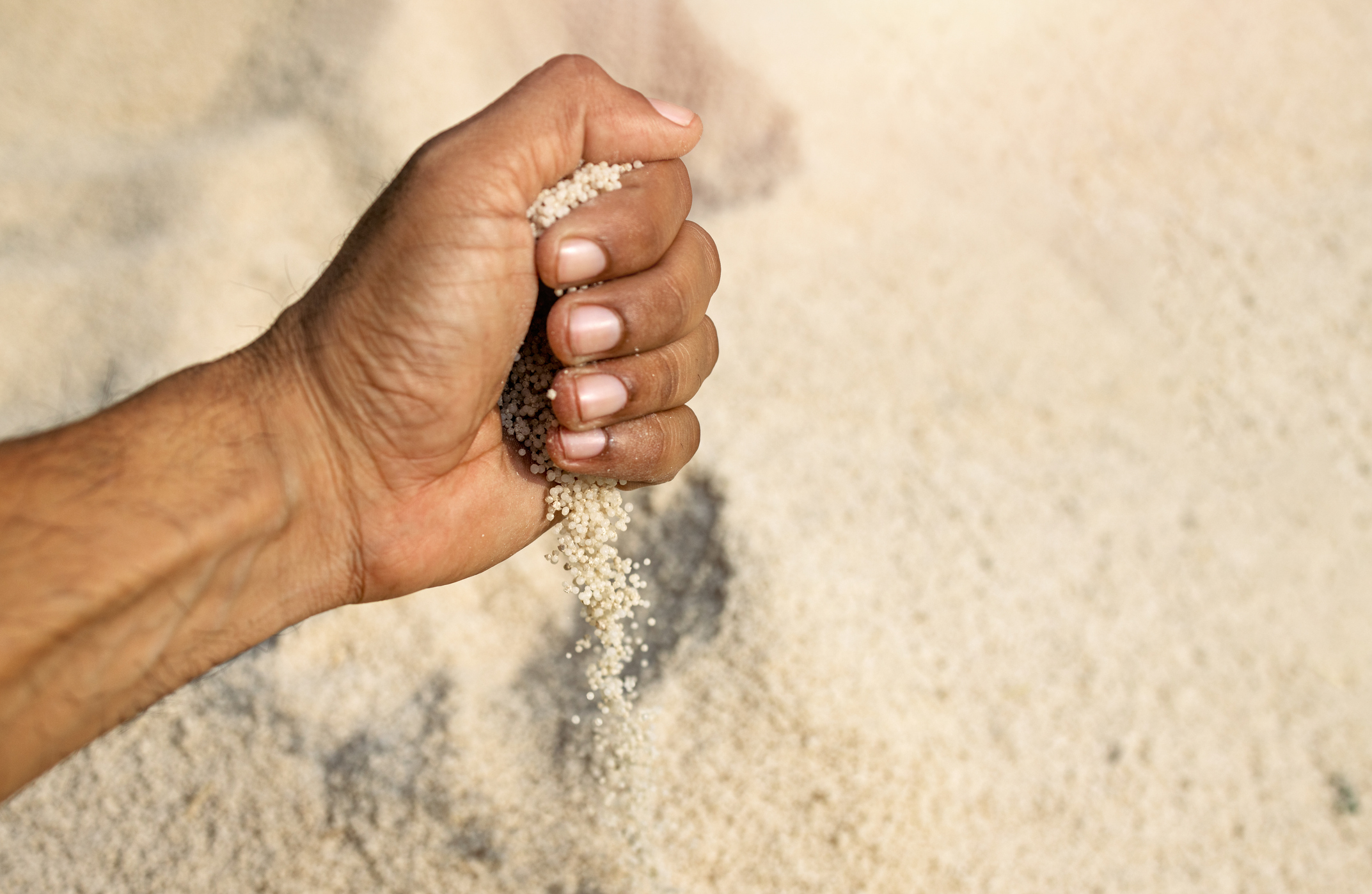 सरकार ने खरीफ 2025 के दौरान किसानों के लिए पर्याप्त यूरिया की उपलब्धता सुनिश्चित की