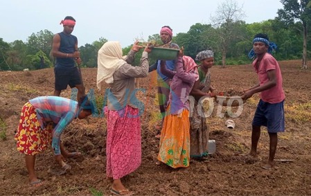 जॉब कार्ड वेरिफिकेशन का सबसे सटीक और आसान तरीका ई-केवाईसी : केंद्र