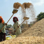 केंद्र सरकार ने गेहूं, धान की खरीद में आढ़तियों, सहकारी समितियों का कमीशन बढ़ाया