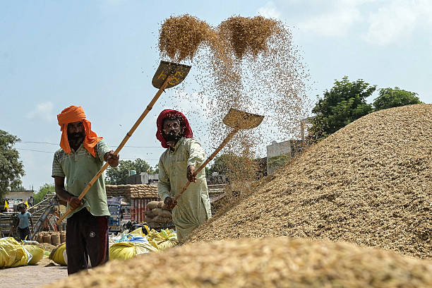 केंद्र सरकार ने गेहूं, धान की खरीद में आढ़तियों, सहकारी समितियों का कमीशन बढ़ाया