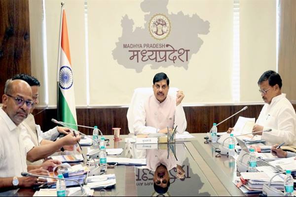 सौर ऊर्जा के उपयोग को अधिकाधिक प्रोत्साहित करें : मुख्यमंत्री डॉ. यादव